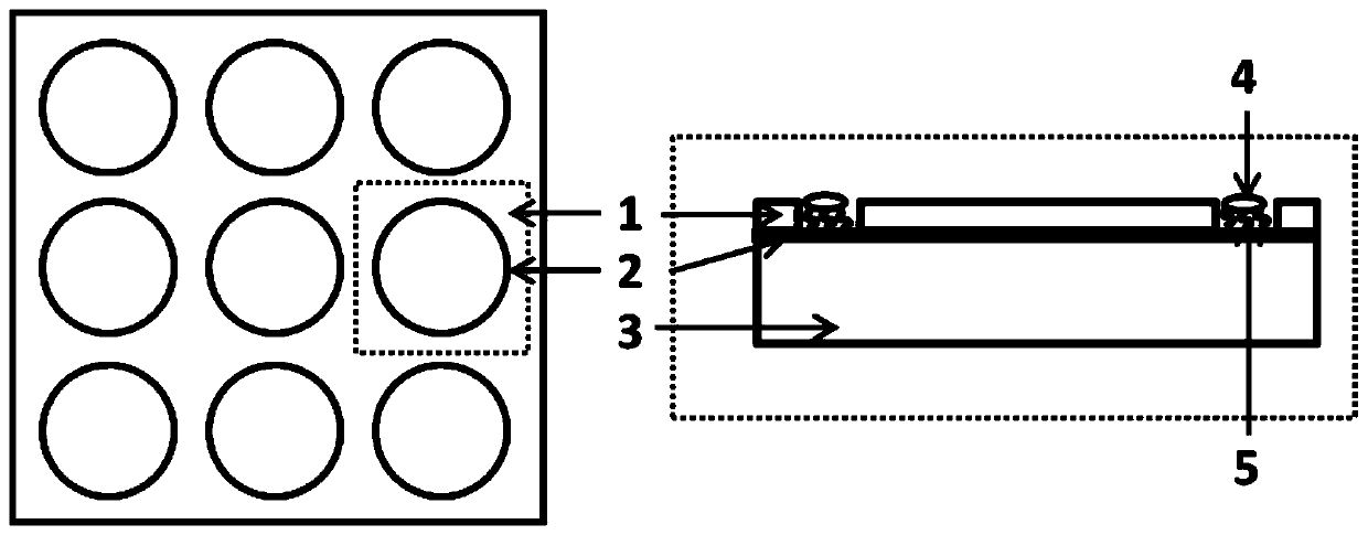 Functionalized terahertz slit nanoantennas for label-free detection of cellular exosomes