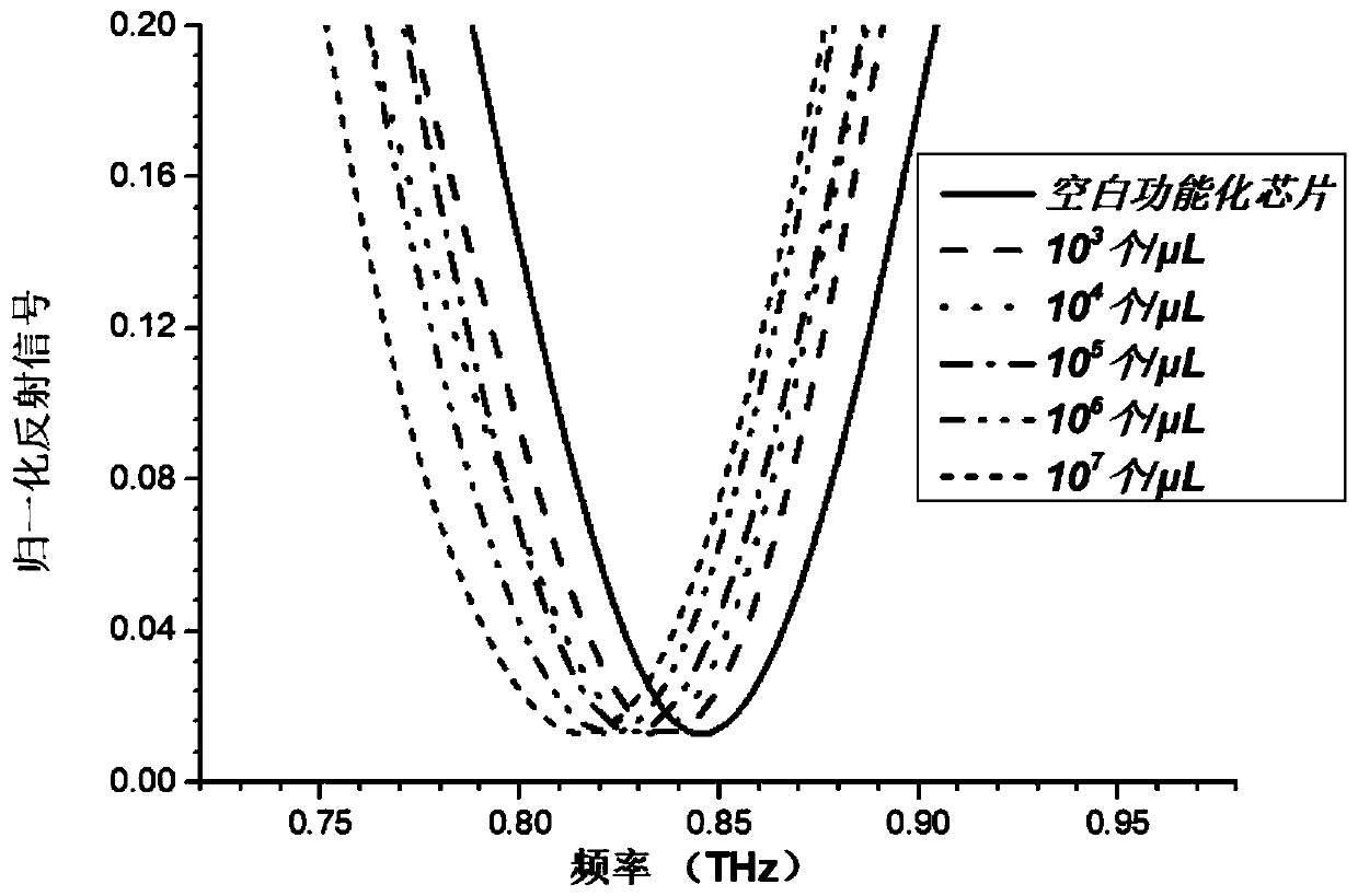 Functionalized terahertz slit nanoantennas for label-free detection of cellular exosomes