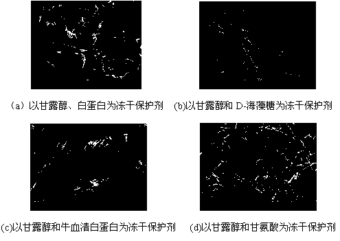 Food-grade evening primrose oil microemulsion freeze-dried powder and preparation method thereof