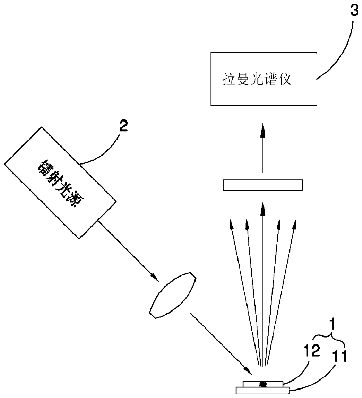 Surface-Enhanced Raman Spectroscopy Detection Method for the Detection ...