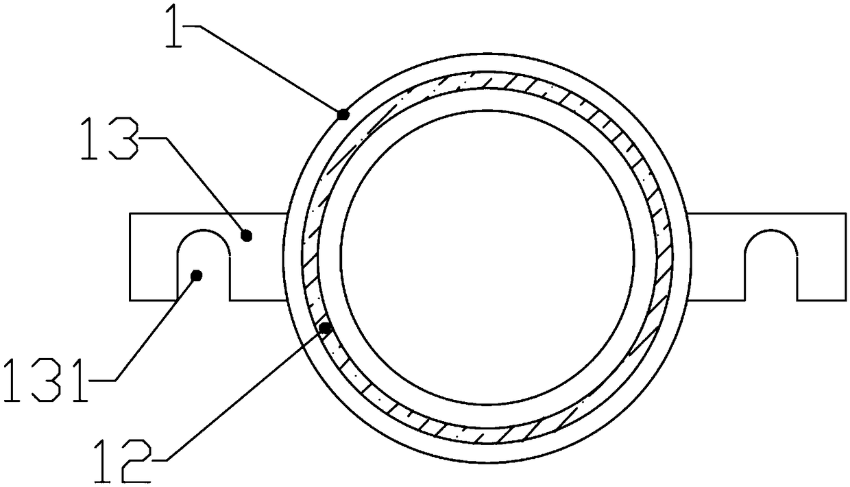 Air shower filtering device and air shower