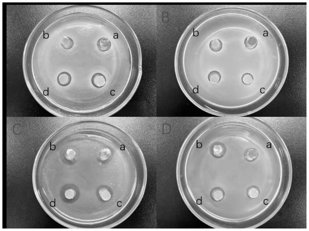 Water-insoluble cyclodextrin polymer-based antibacterial microsphere material and preparation method thereof