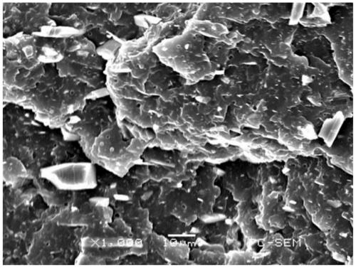 Polypropylene composite material with high impact resistance and high bearing capacity and preparation method and application thereof