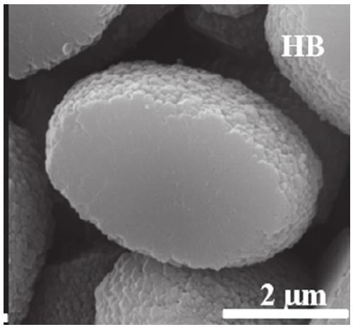 Preparation method of snowflake-shaped H-ZSM-5 molecular sieve