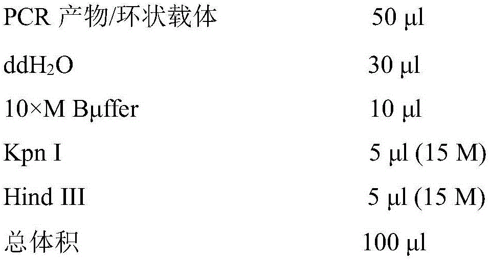 Duttaphrynus melanostictus serine protease inhibitor and gene and application thereof