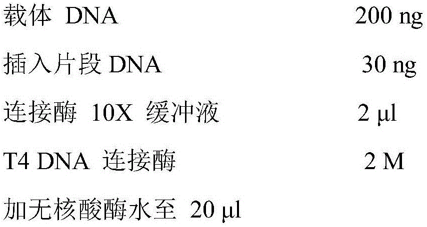 Duttaphrynus melanostictus serine protease inhibitor and gene and application thereof