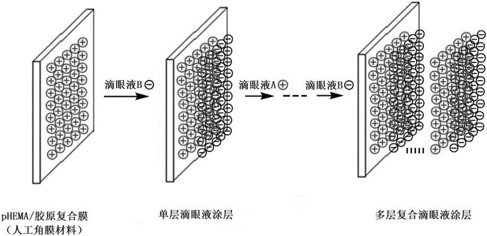 Drug sustained release type composite eye drops and preparation method and application thereof