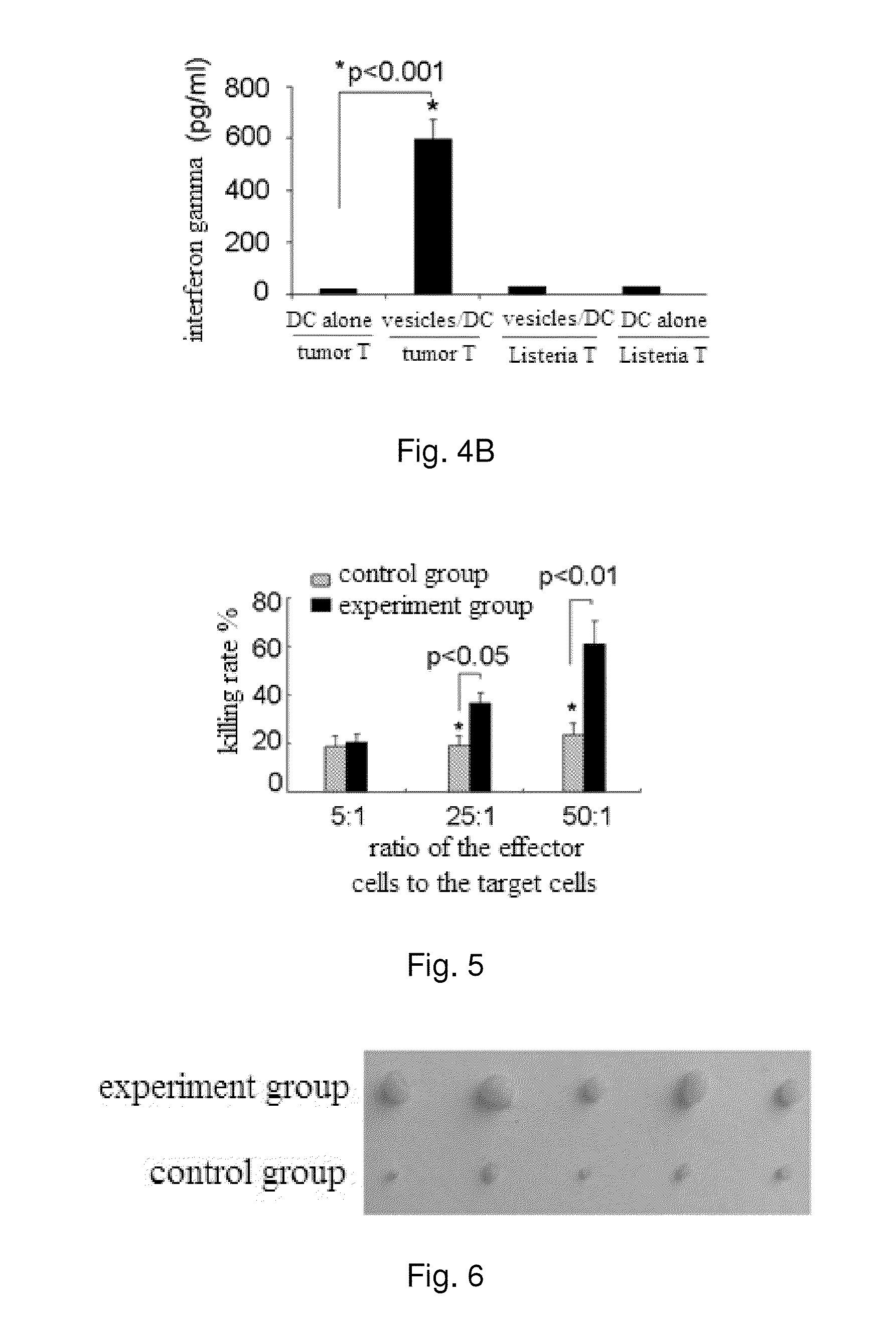 Tumor vaccine and method for producing the same