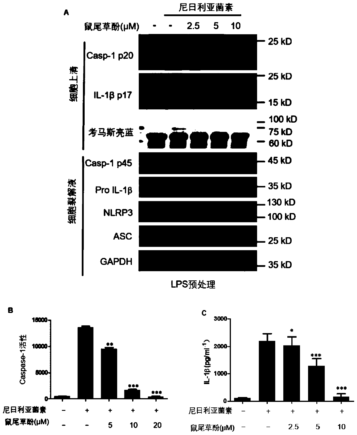 Application of carnosol as inhibitor of inflammasomes