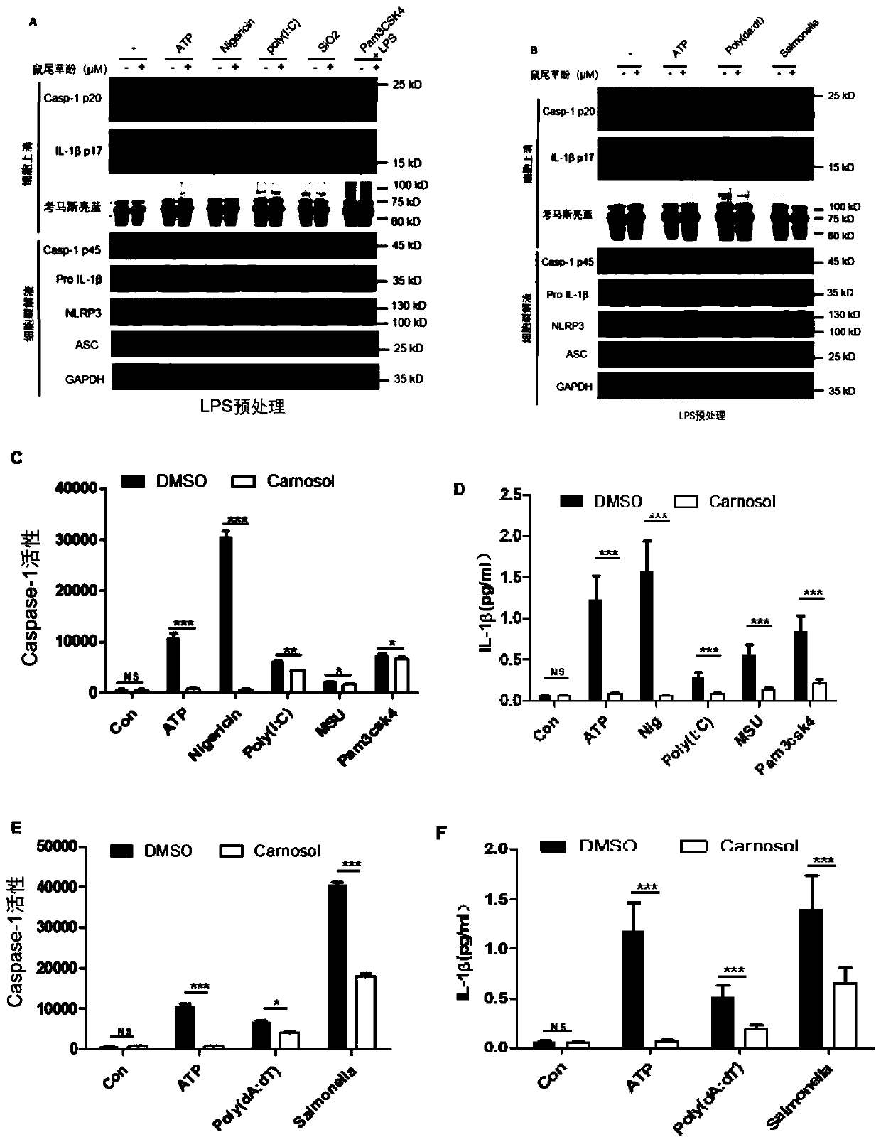 Application of carnosol as inhibitor of inflammasomes