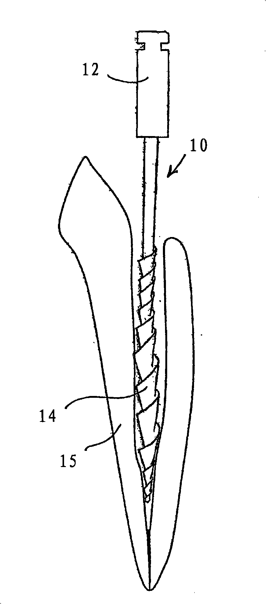 Dental apparatus for shaping and cleaning a root canal