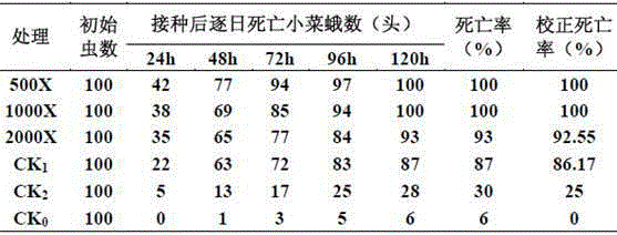 A kind of fume-colored I. spp. and beta-cypermethrin oil suspension and its application