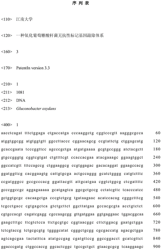 A Gluconobacter oxydans resistance-free marker gene knockout system