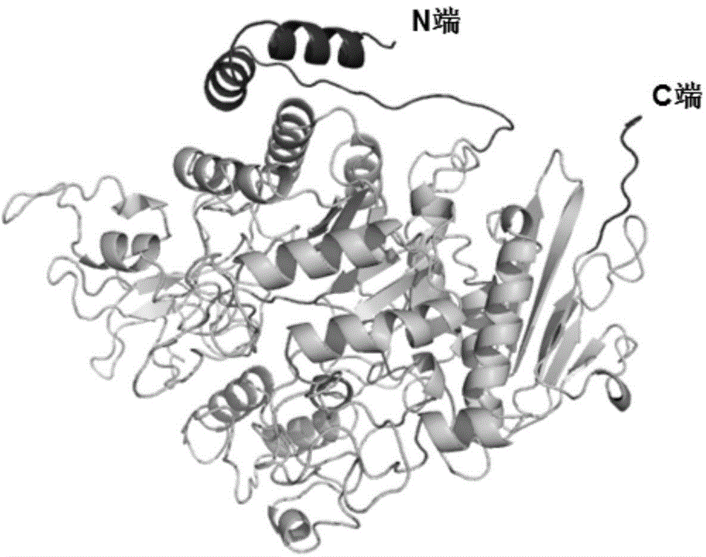 Thermostable trehalose synthase as well as expression gene and application thereof