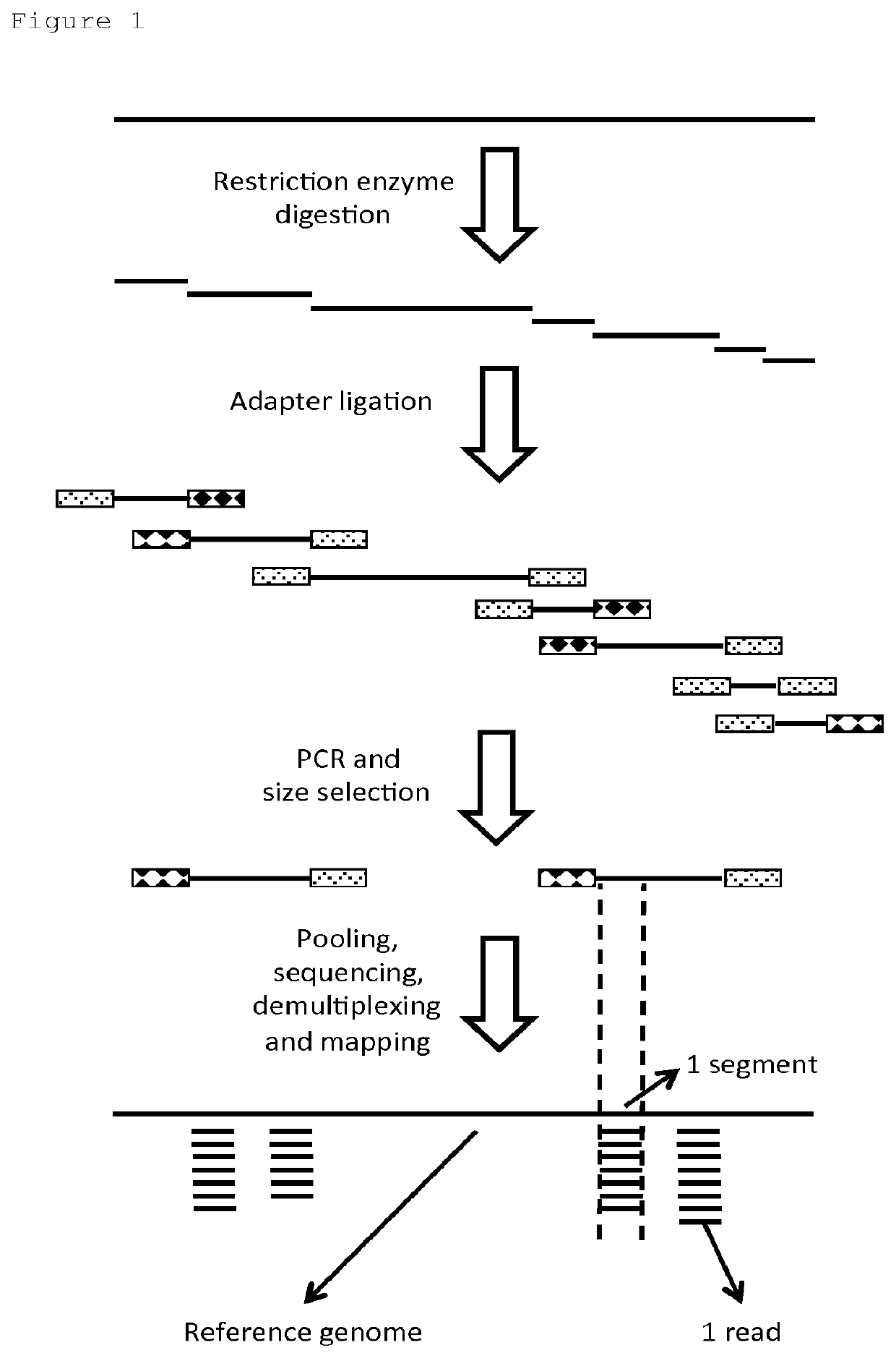 Genetic analysis method