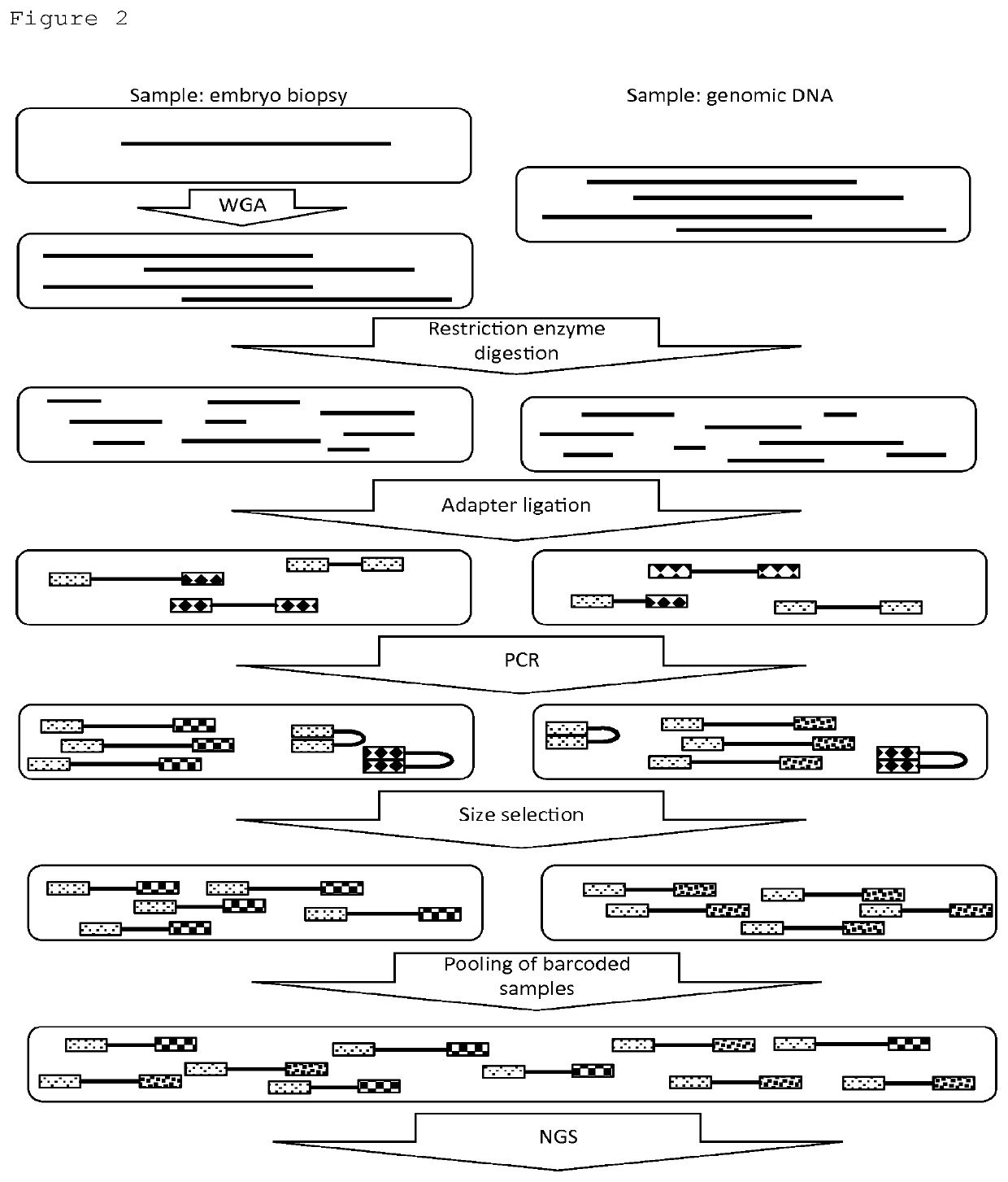 Genetic analysis method