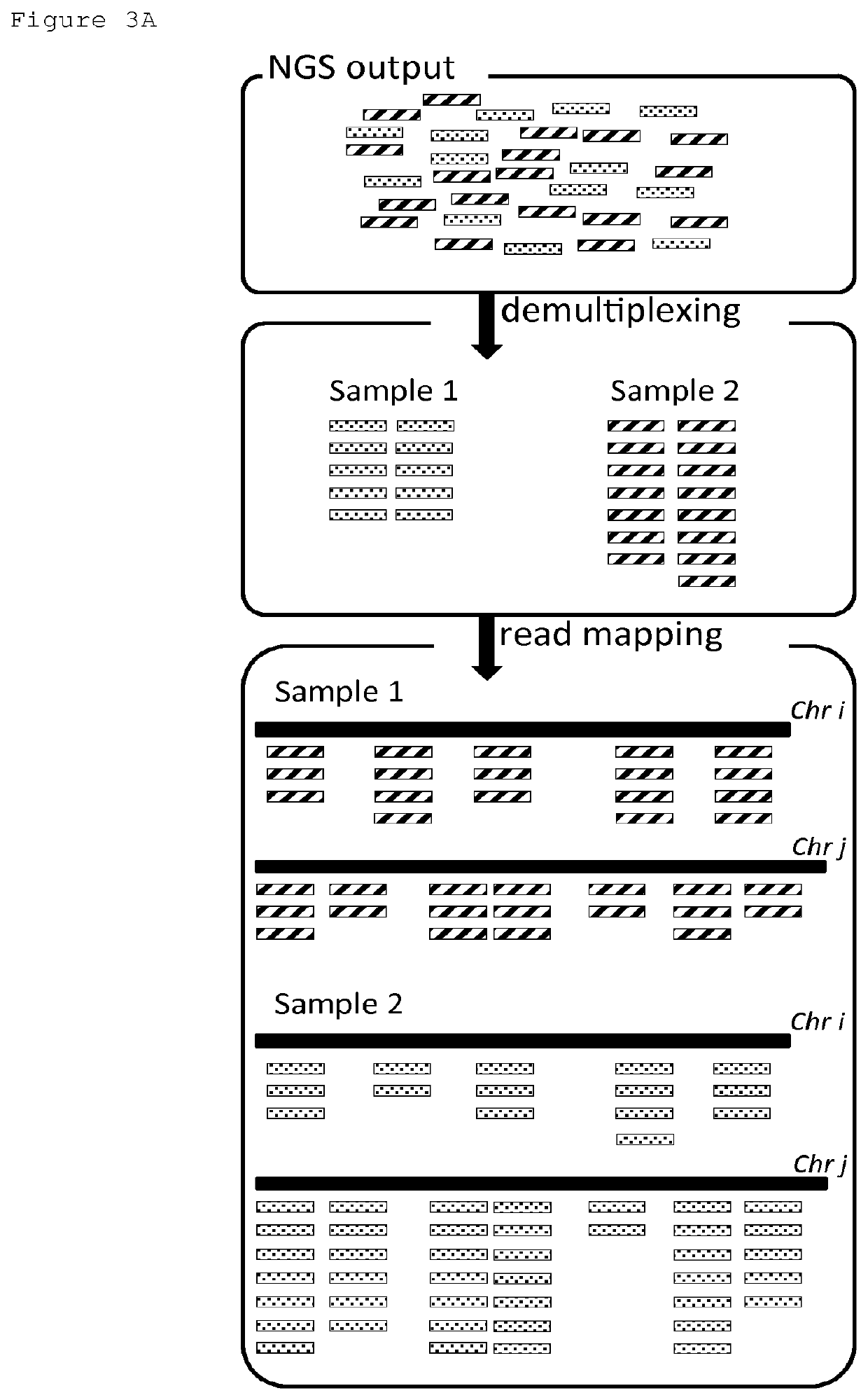 Genetic analysis method