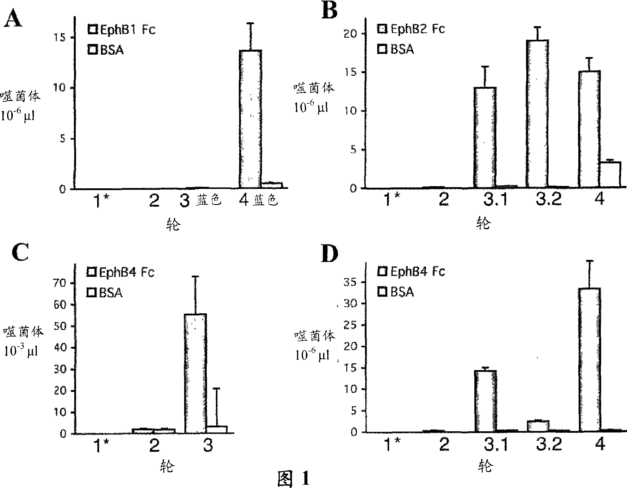 EphB receptor-binding peptides