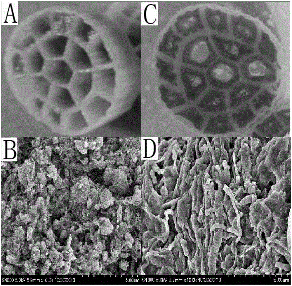 Moving bed biofilm reactor and its sewage treatment method