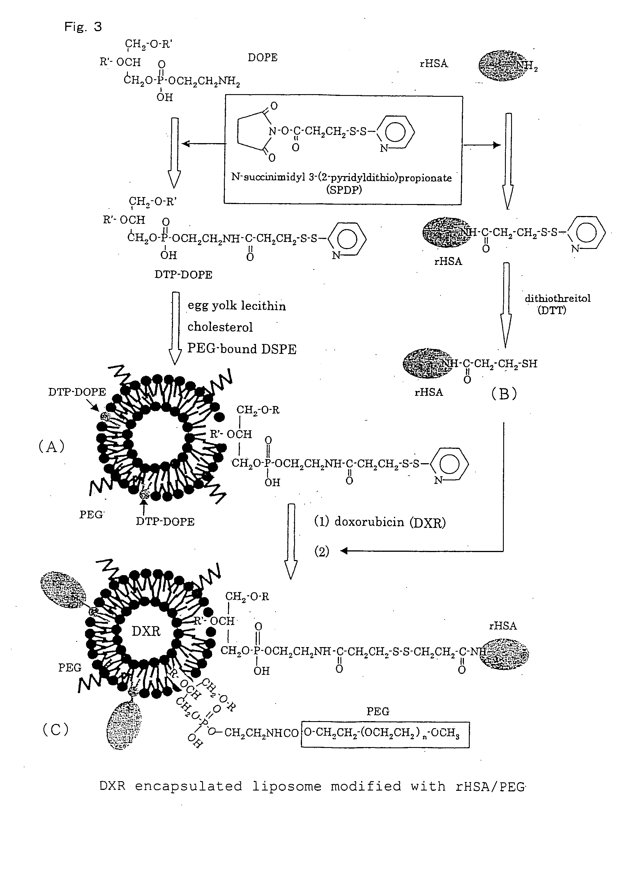 Pharmaceutical composition containing liposomes for treating cancer