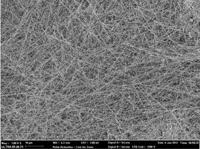 Preparation method of SiC nanowire with expandable graphite as carbon source