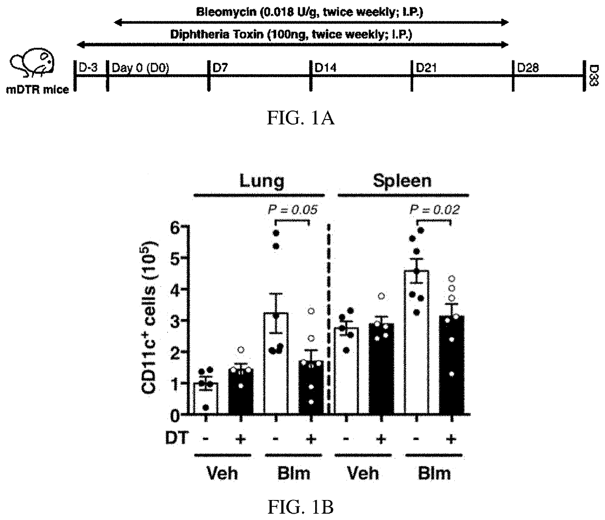 Pdl-1 inhibitors in treatment of pulmonary vascular diseases