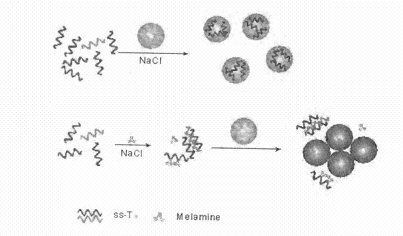 Method for detecting melamine based on oligonucleotide-non-labeled nano-Au