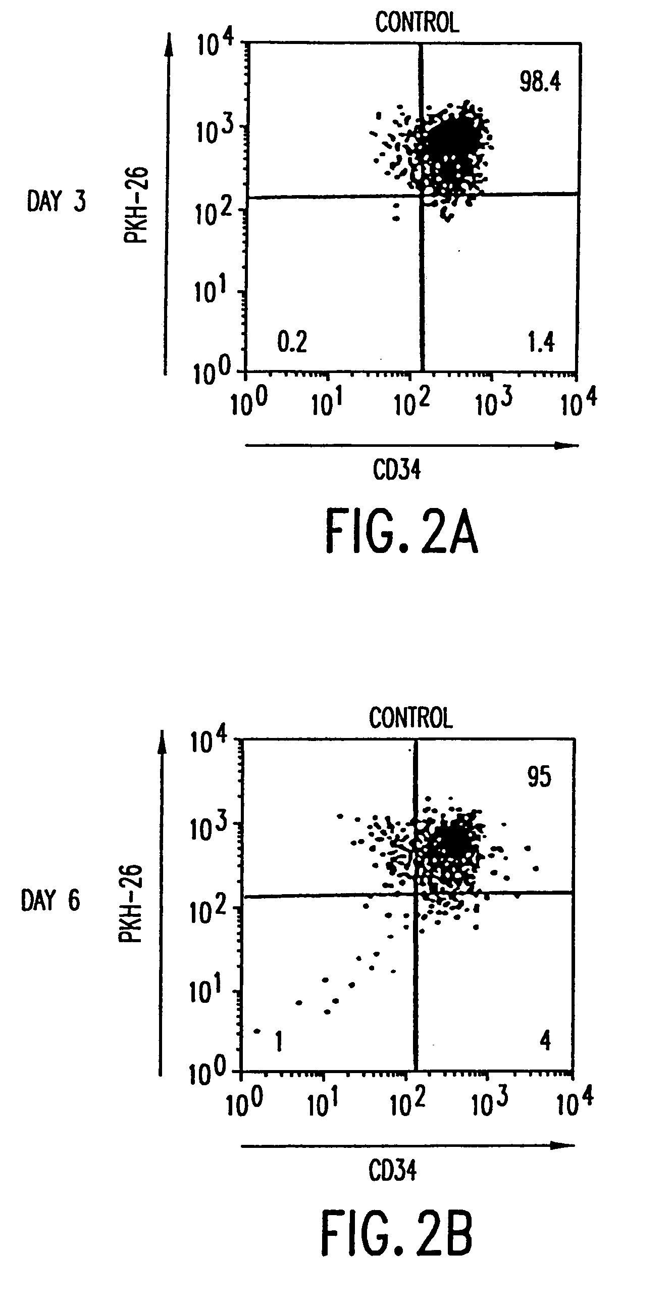 Methods for use of MPL ligands with primitive human stem cells