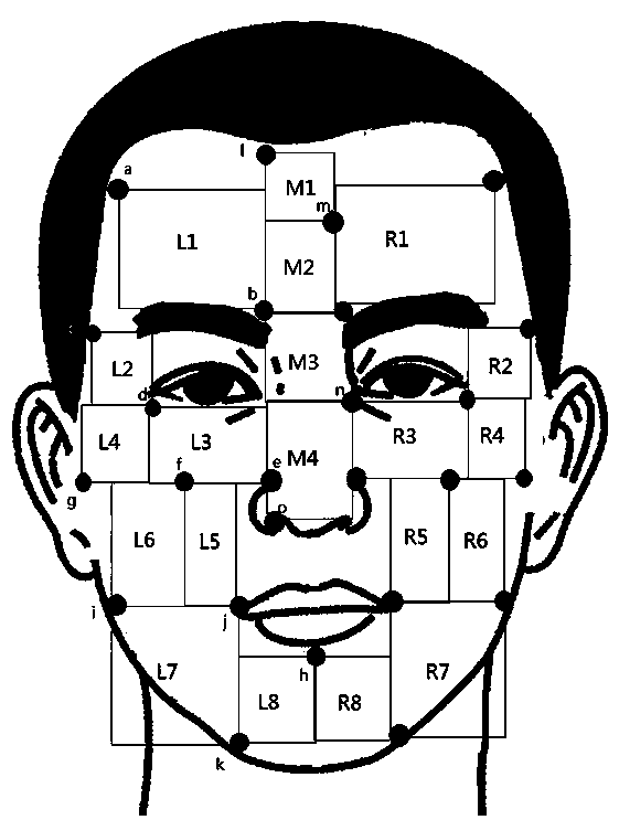 Skin type and skin problem identification and detection method based on facial image identification