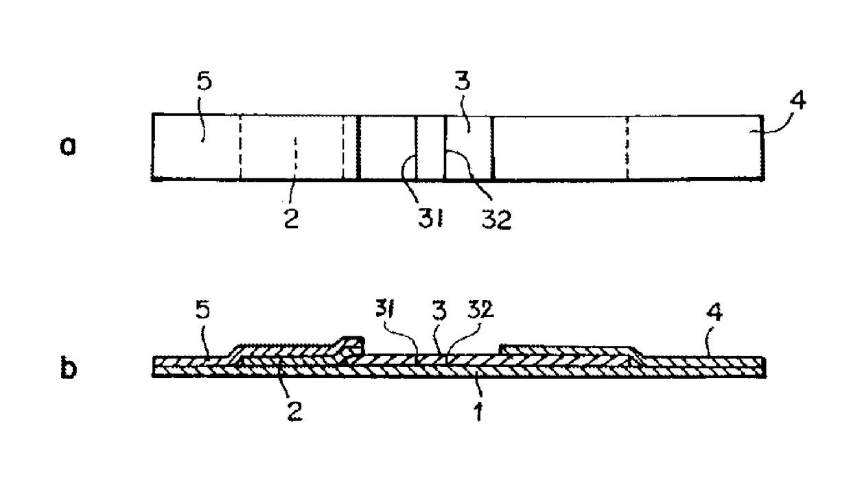 Immunological detection method and kit for mycoplasma pneumoniae