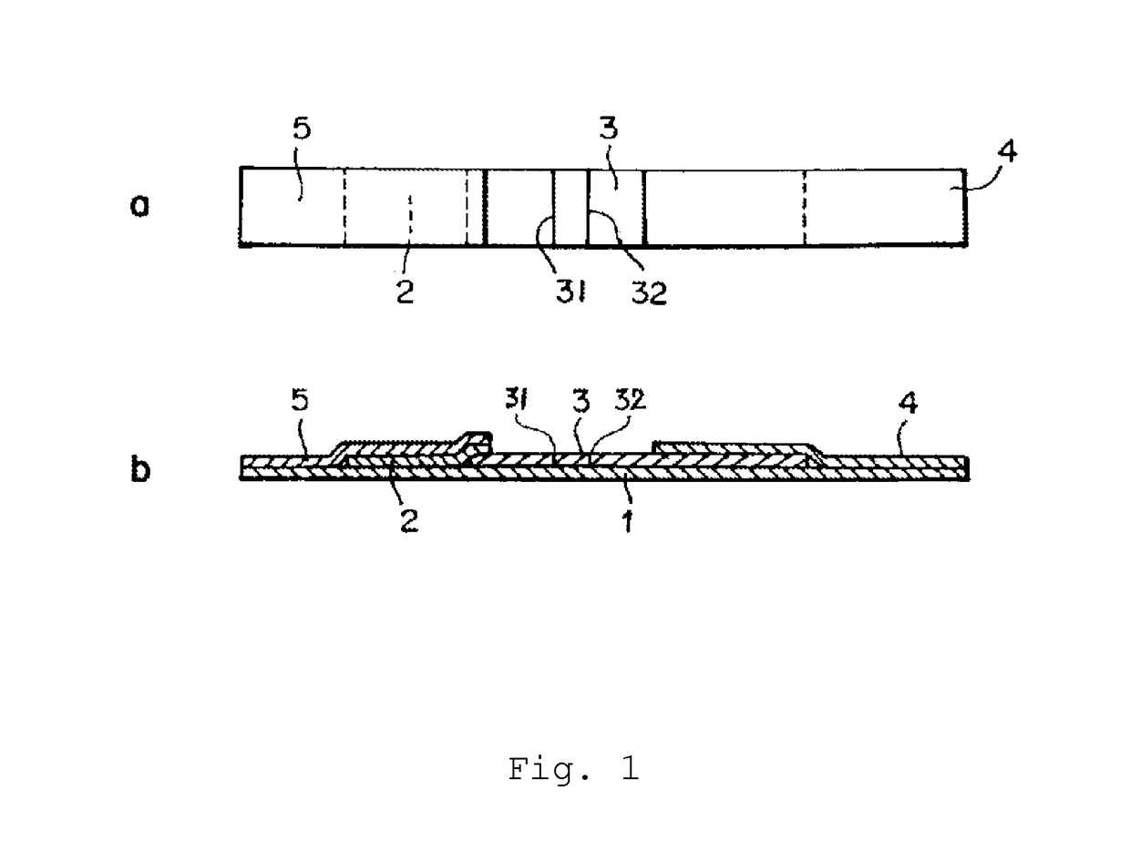 Immunological detection method and kit for mycoplasma pneumoniae