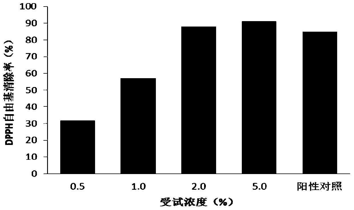 Externally applied traditional Chinese medicine composition and preparation with whitening effect, preparation method and application thereof