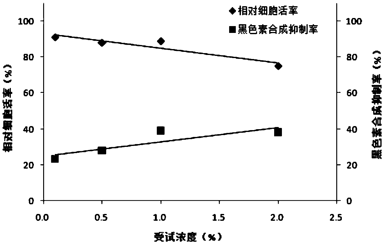 Externally applied traditional Chinese medicine composition and preparation with whitening effect, preparation method and application thereof