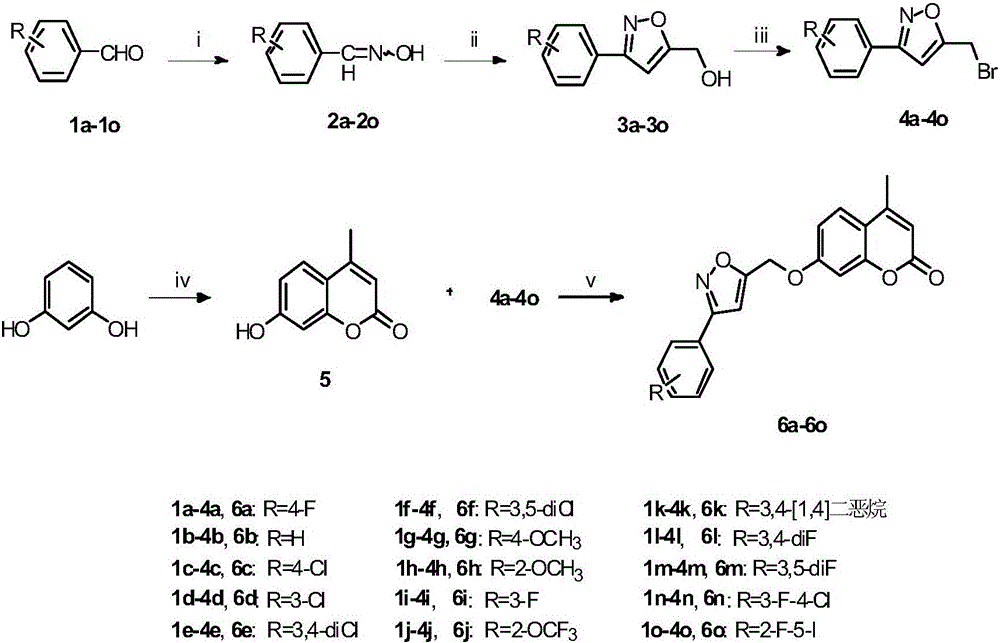 Coumarin phenyl isoxazole derivatives and applications thereof