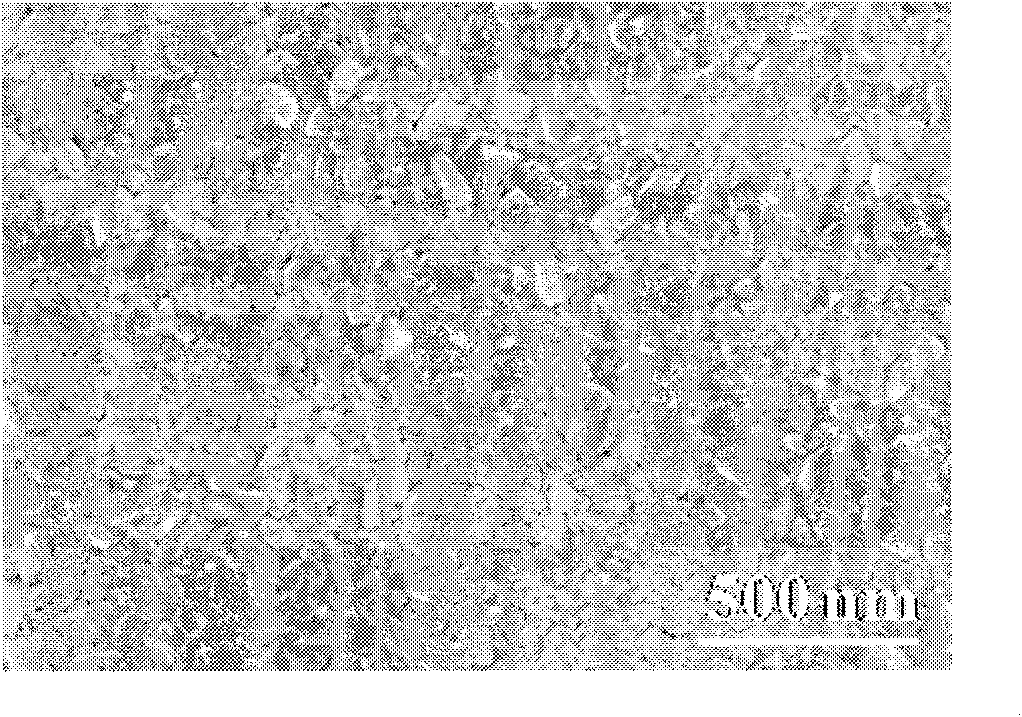 Seed crystal layer-assisting surface texturing zinc oxide transparent conductive film and preparation method thereof