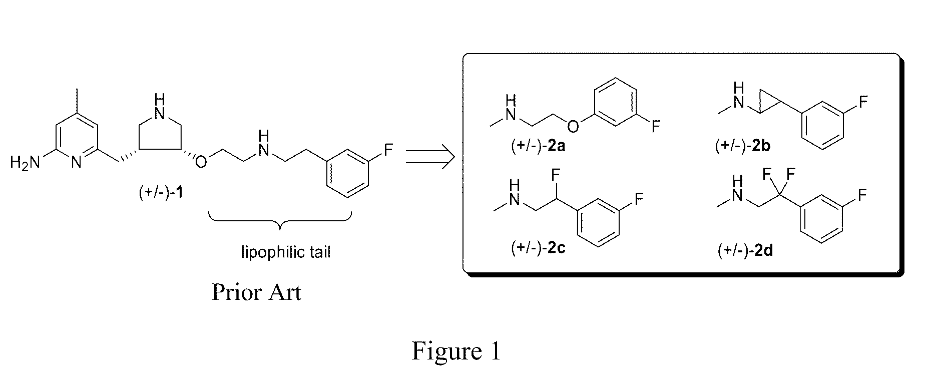 Potent and selective neuronal nitric oxide synthase inhibitors with improved membrane permeability