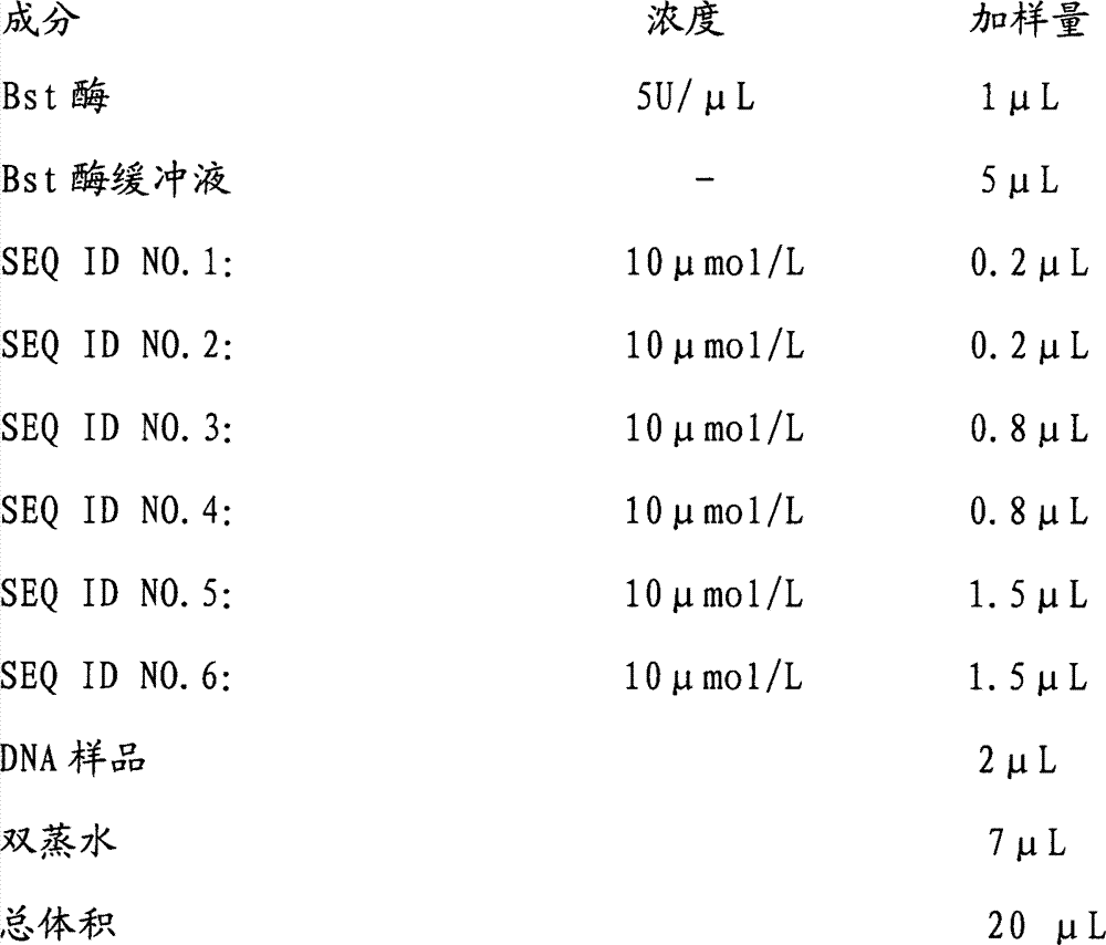 Kit for detecting klebsiella pneumonia by using nucleic acid constant-temperature amplification technology and amplification method thereof