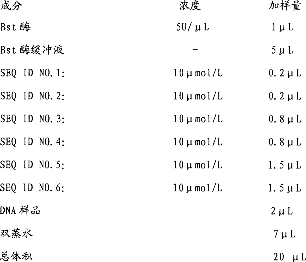 Kit for detecting klebsiella pneumonia by using nucleic acid constant-temperature amplification technology and amplification method thereof