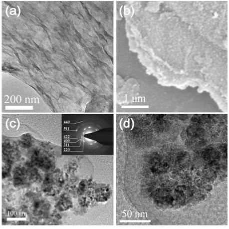 A polymer nanocomposite phase change energy storage material for magnetocaloric-photothermal dual drive energy conversion and storage and its preparation method
