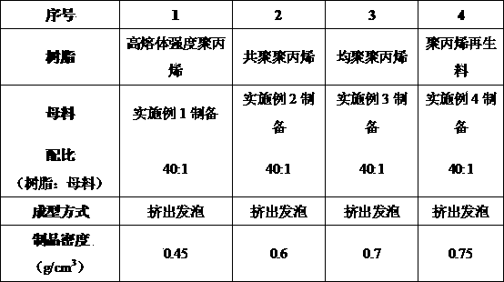 Polypropylene resin foam concentrate and preparation method thereof