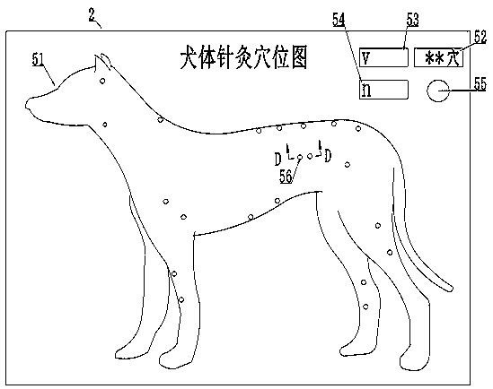 Livestock acupuncture teaching equipment based on magnetic variable sensor and electrical variable sensor