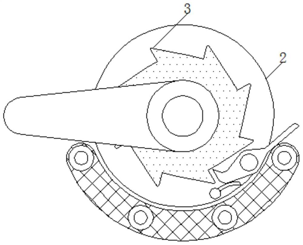 Bean hulling device used in field of agriculture