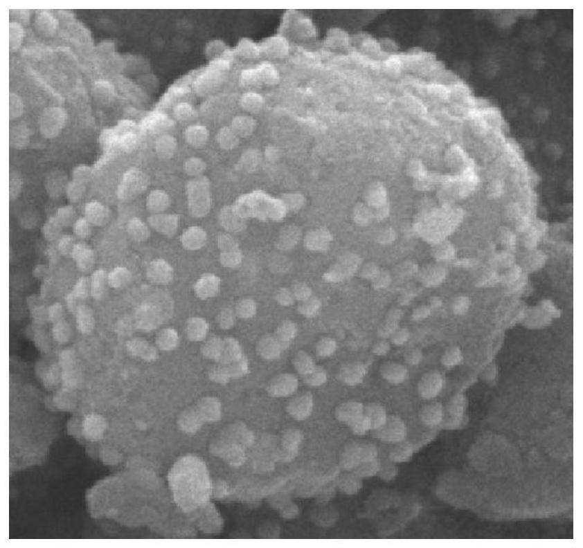 Catalyst and preparation method for synthesizing salicylic acid by carboxylation reaction of phenol