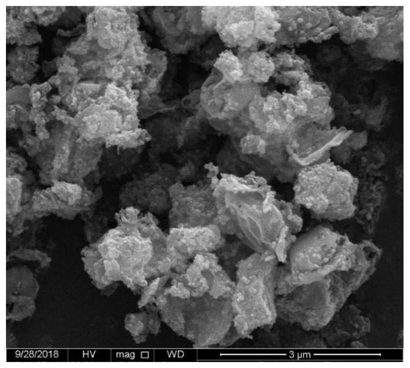 Catalyst and preparation method for synthesizing salicylic acid by carboxylation reaction of phenol