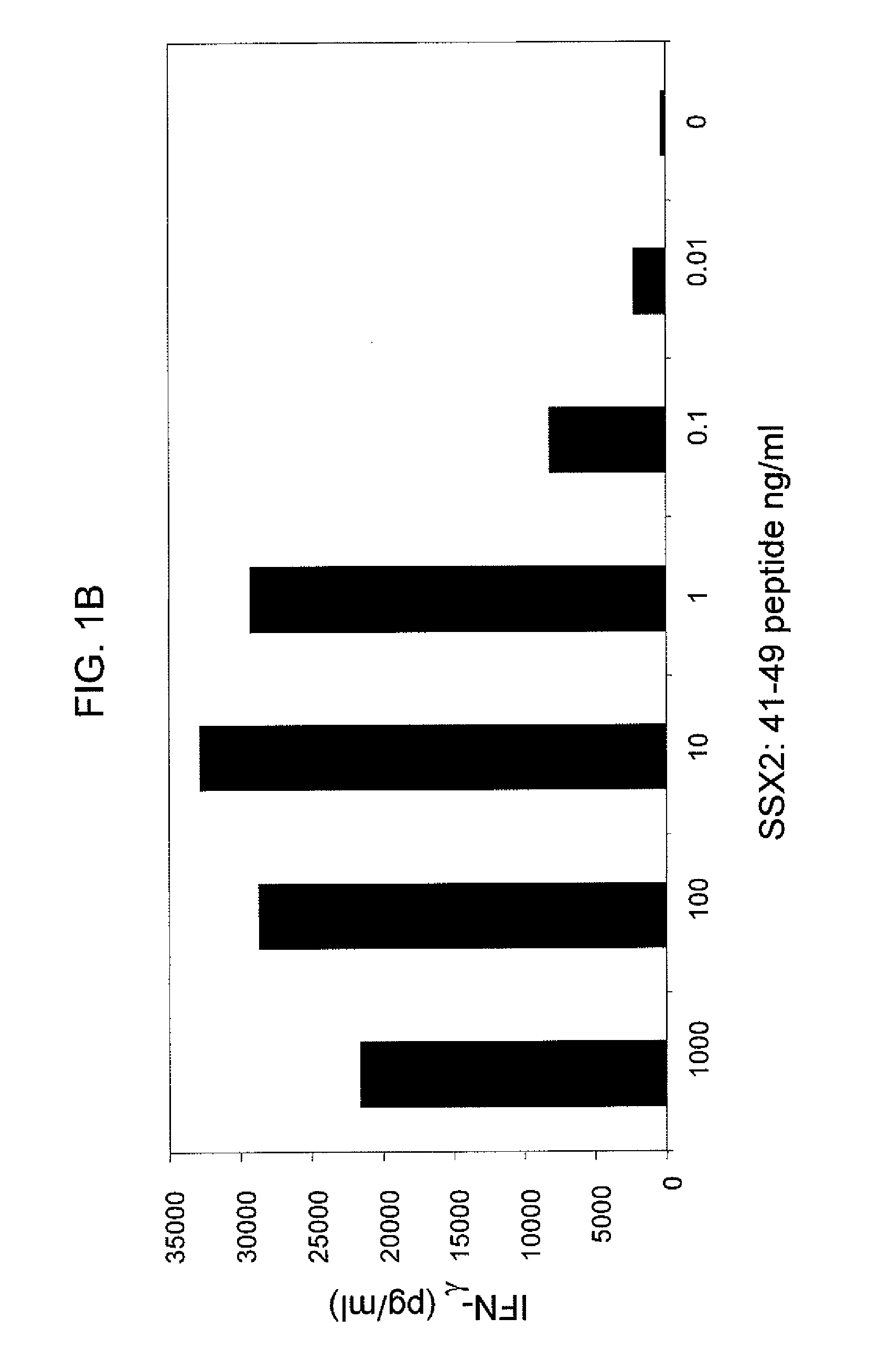 Anti-SSX-2 T cell receptors and related materials and methods of use