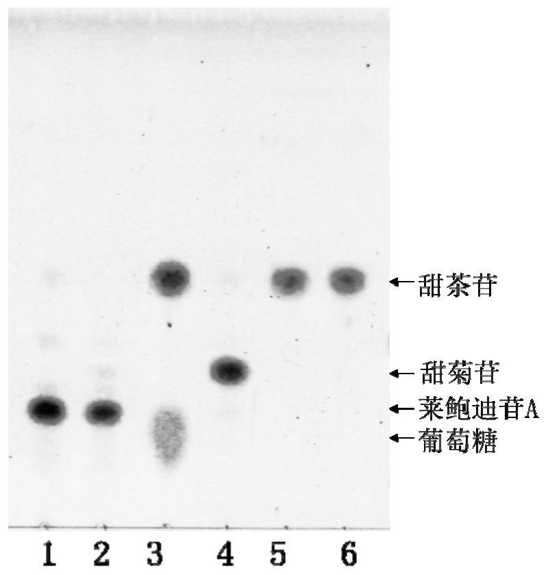 Novel efficient beta-glucosidase CsBGL as well as encoding gene and application thereof