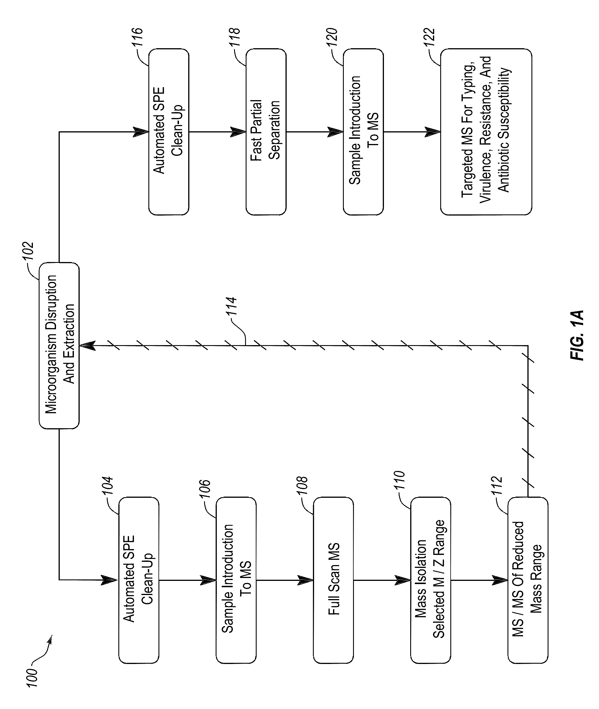 Apparatus and methods for microbial identification by mass spectrometry