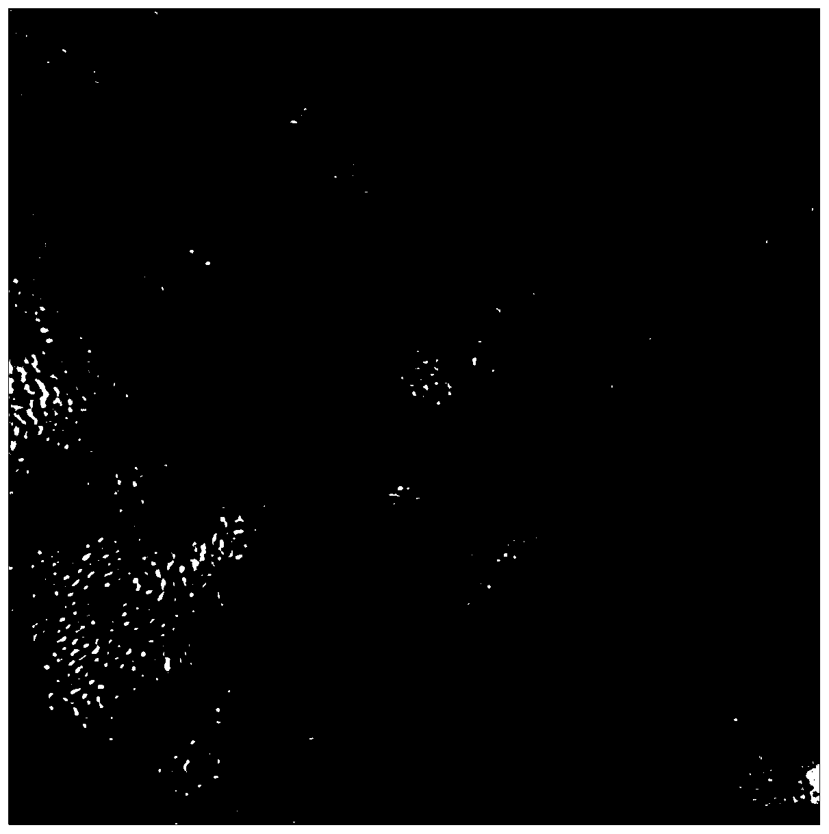 Composite oxide carbon carrier loaded nanometer Pt catalyst and its preparation method and application