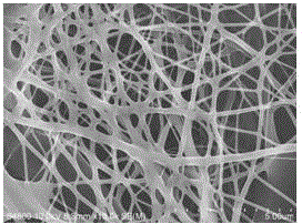 Preparation method of porous sodium alginate nano-fiber wound dressing