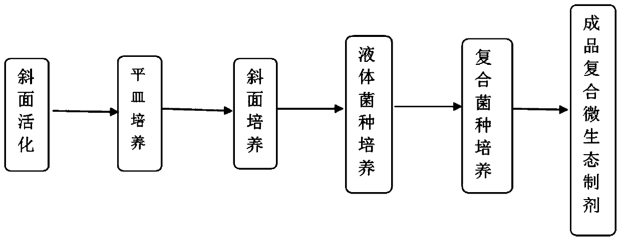 Compound microbial preparation and culture method and application thereof